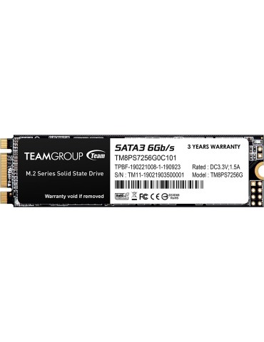 TEAMGROUP MS30 256GB TM8PS7256G0C101 / SATA III