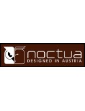 NOCTUA